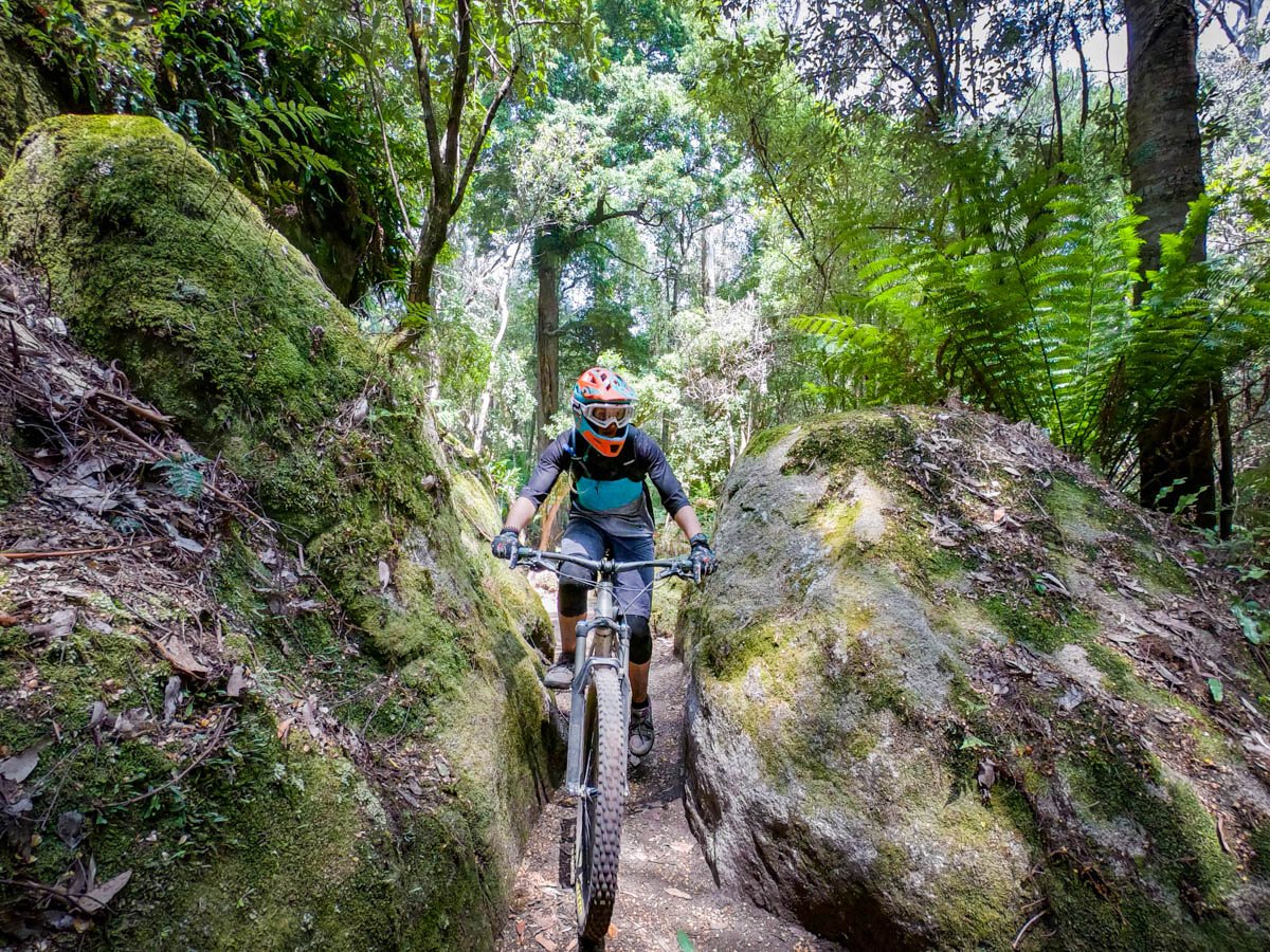 Derby Tasmania Australia's BEST Mountain Biking Tracks Less Travelled
