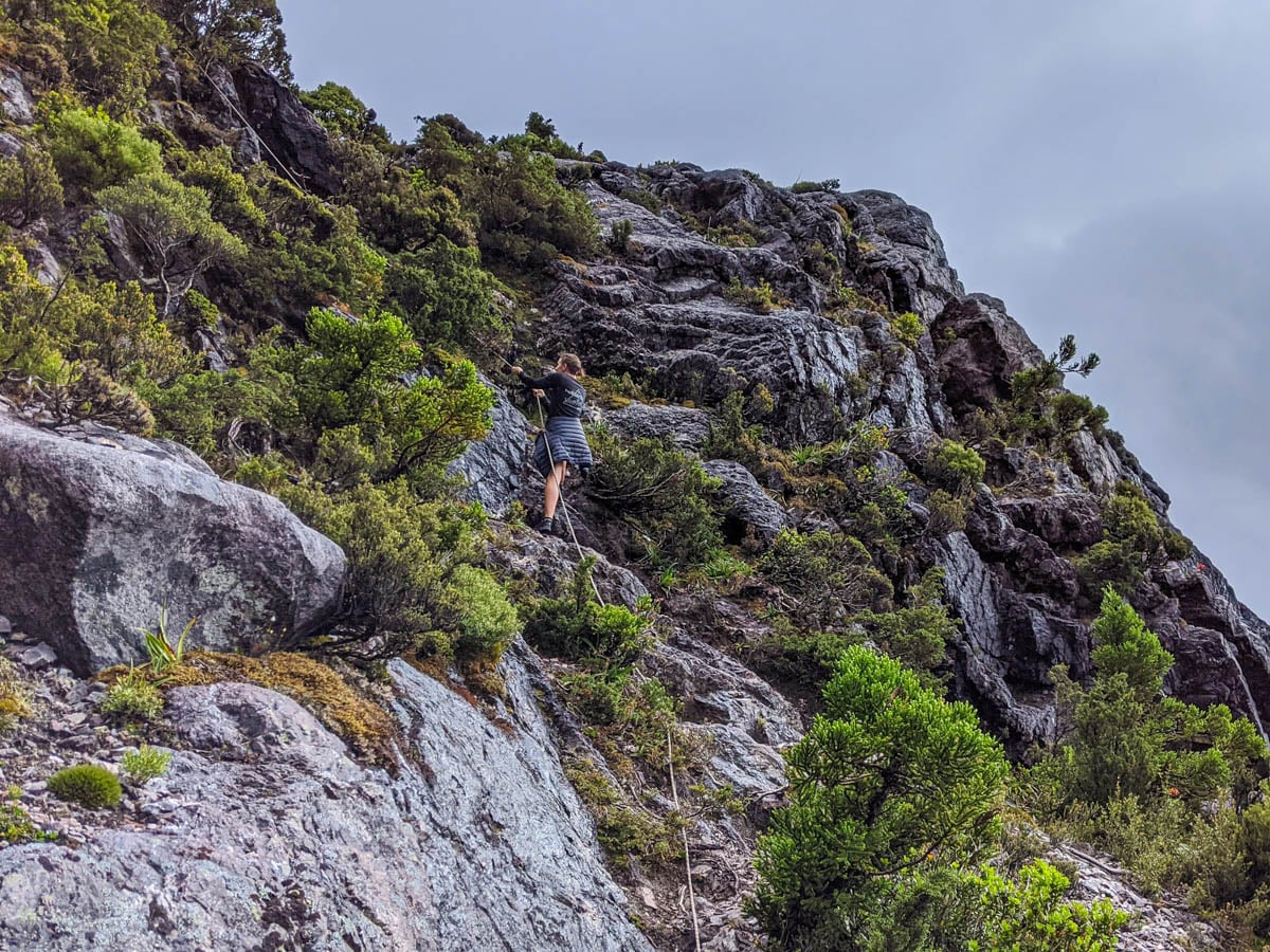 Using ropes to climb Mount Murchison displaying how hikes can be difficult and why you should hike