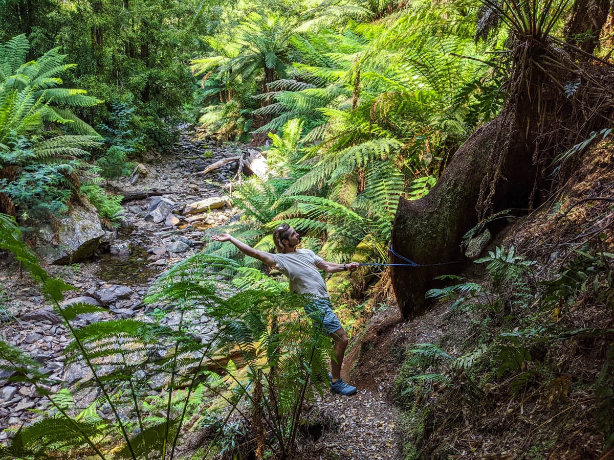 Dylan being an idiot on the Holwell Gorge Tasmania Track showing how much fun you can have and why you should hike