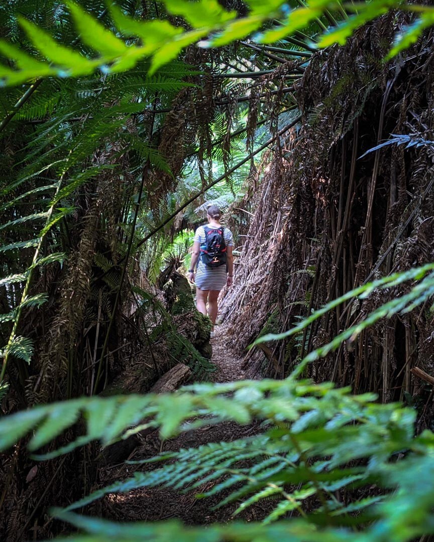 Hiking to Holwell Gorge