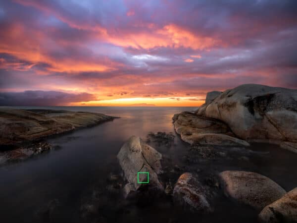 Understanding The Art Of Photography Focus