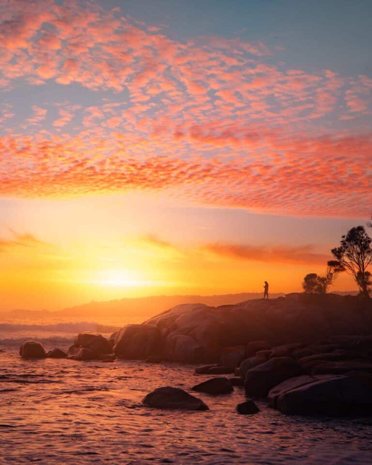 25 Best Things To Do In St Helens, Tasmania