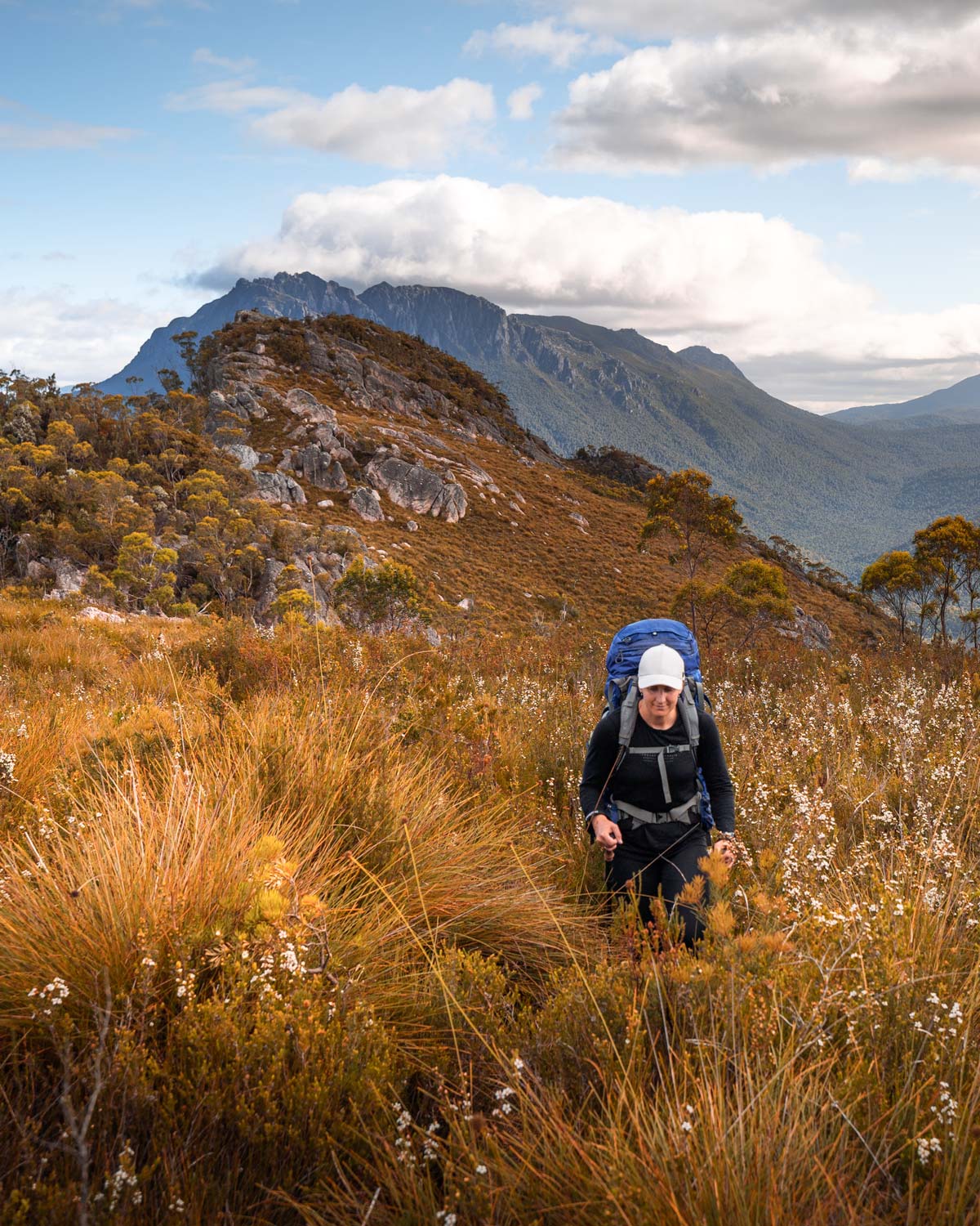 Tasmania 7Day Itinerary The Ultimate Road Trip For Adventurers