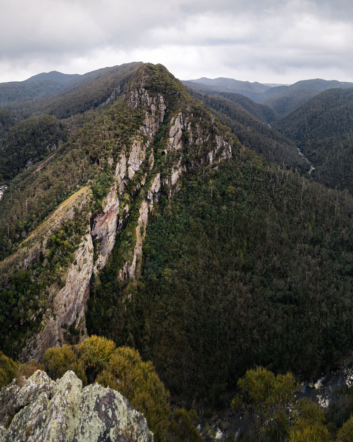 View from Leven Canyon Lookout on a dark, moody winter day