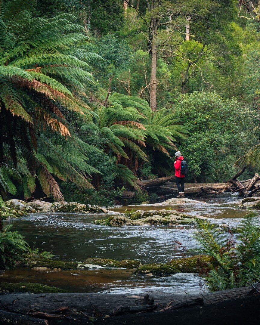 Wandering along the Rock Pools at Halls Falls Tasmania