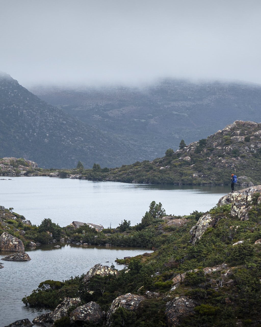 Tarn Shelf Circuit in Mt Field National Park