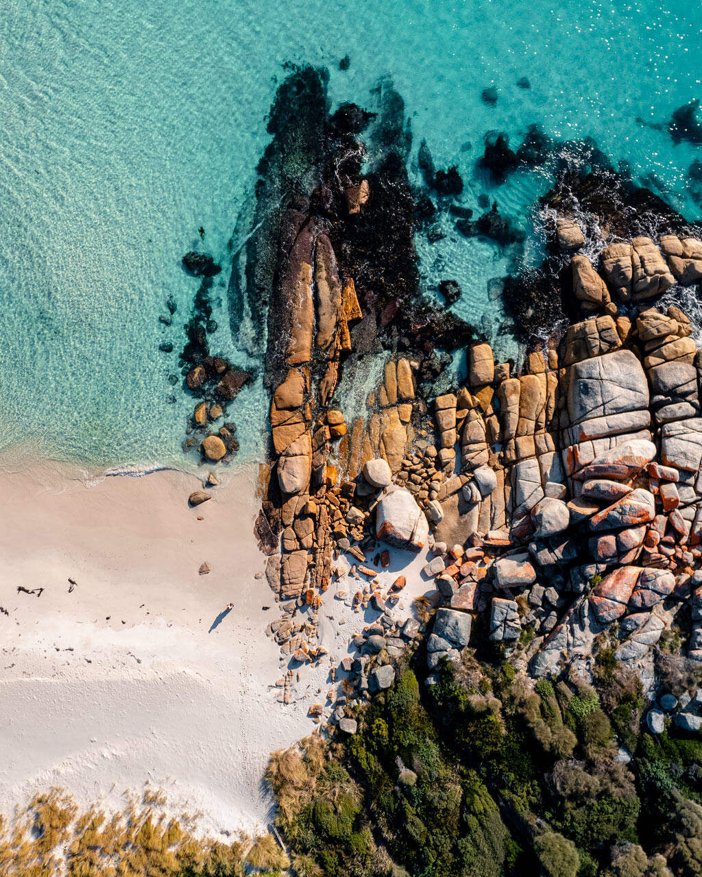 Standing over Sloop Reef during Sunset in the Bay Of Fires