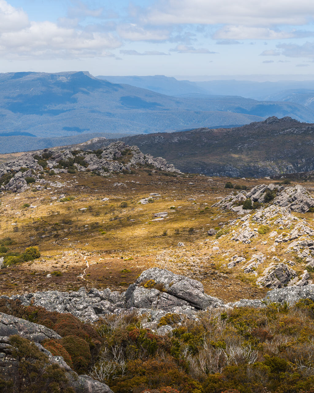 Looking over the distant valleys to Cradle Mountain from Mt Roland Tasmania