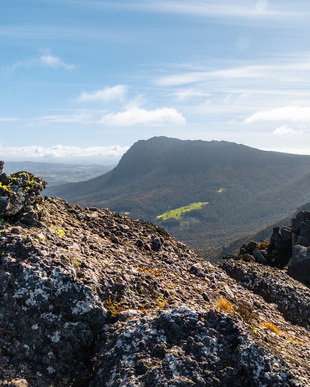 Overlooking Mt Roland Regional Reserve from the summit of Mt Claude
