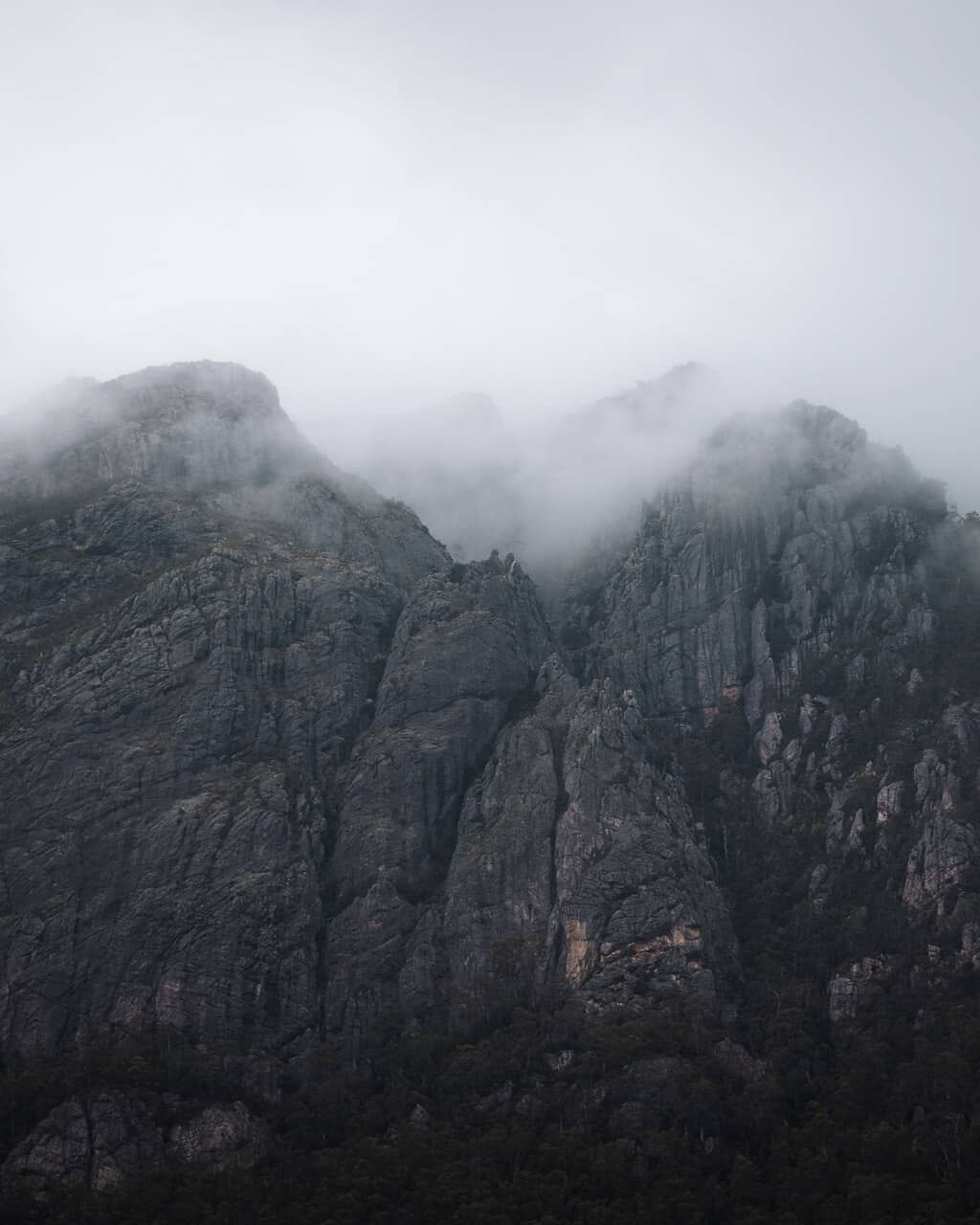 Mist covering the peaks of the Mt Van Dyke Circuit in Mt Roland Regional Reserve