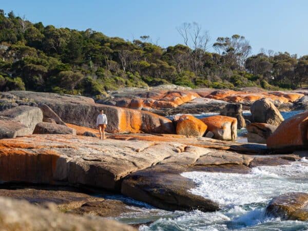 21 Best Things To Do In Bicheno, Tasmania
