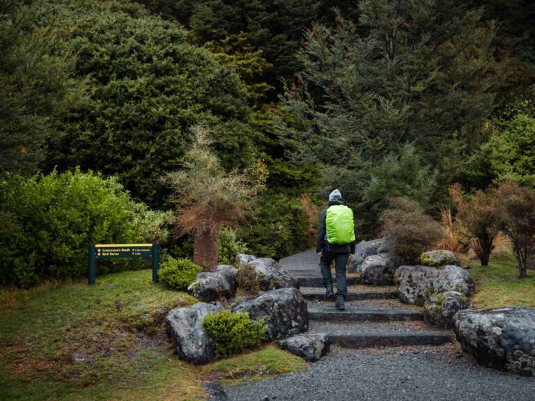 Cook Walk Governors Bush Walk | The Best Mt Cook Walk In Rainy Weather