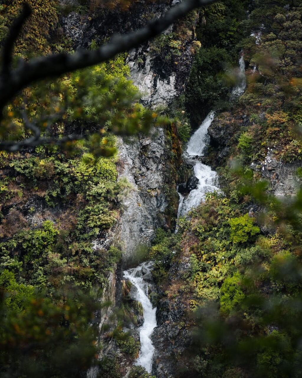 Waterfall trickling through the trees on Governors Bush Walk in Mt Cook National Park