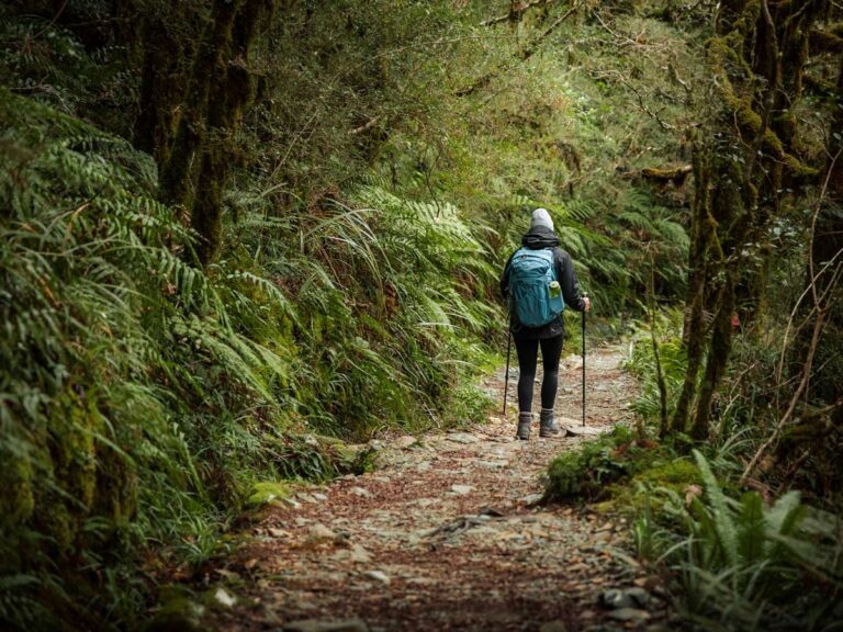 Keywalk Key Summit Track | Milford Sound’s Best Short Walk For All Levels