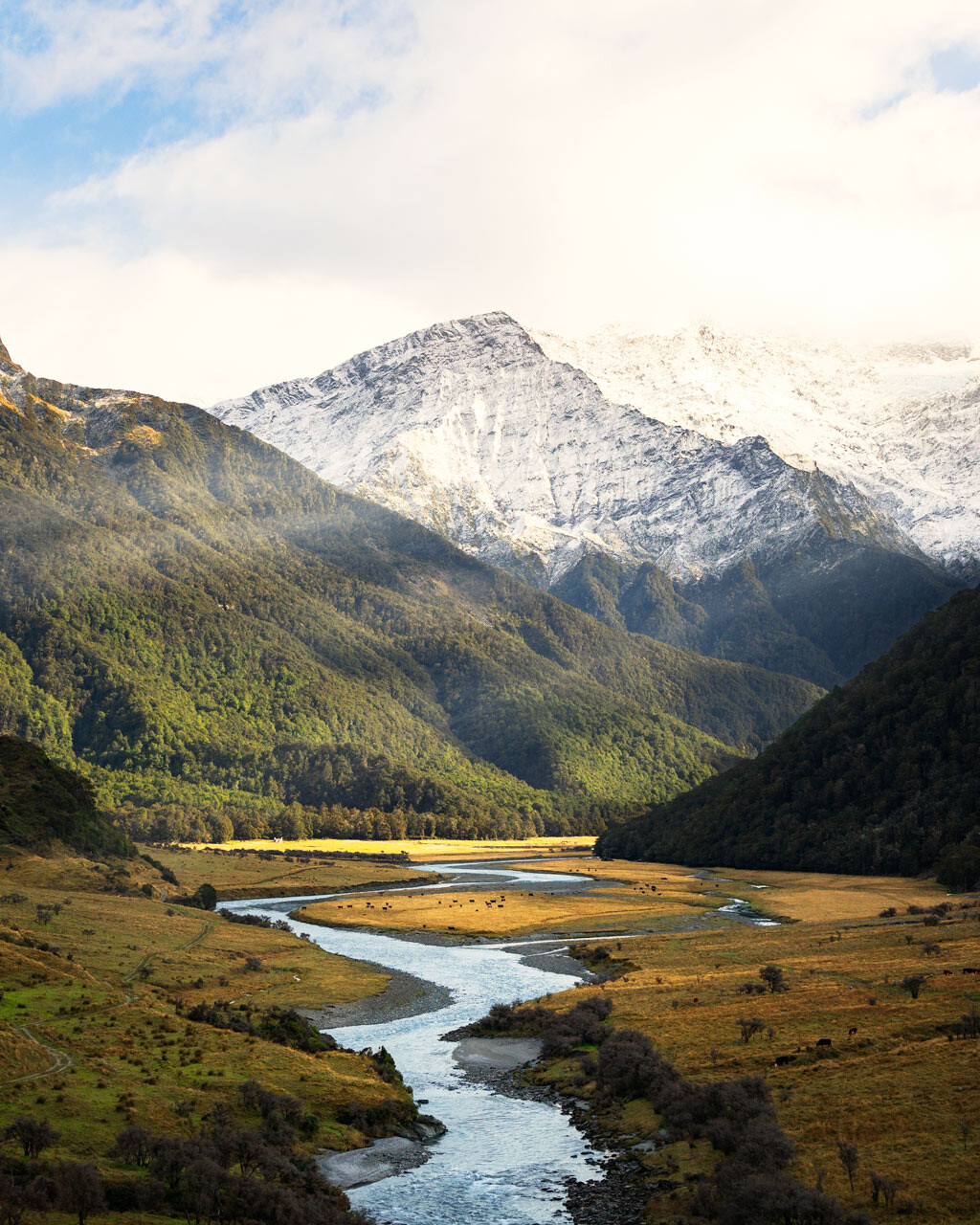 Golden Rays beaming down the Matukituki Valley in Mt Aspiring National Park