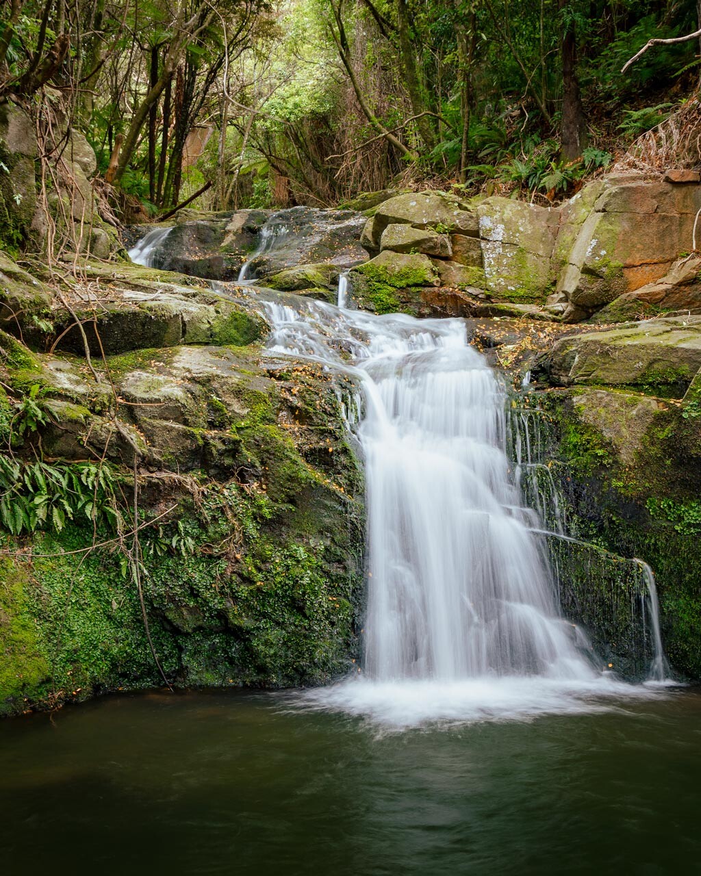 Hinewai Falls, the best waterfall in Akaroa located in the Hinewai Reserve