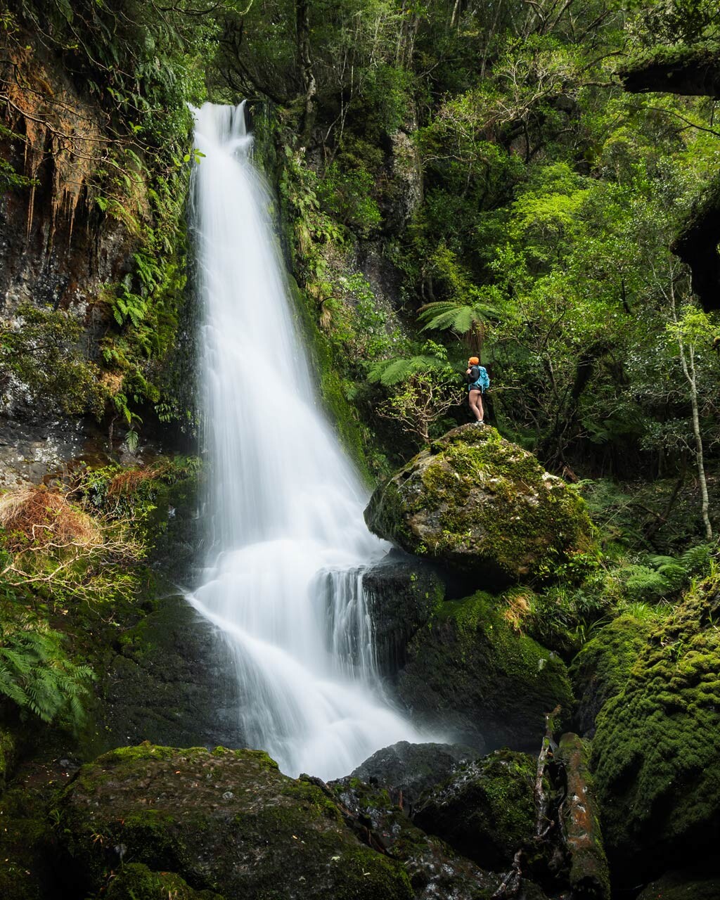Pouriwai Falls on the Waipohatu Waterfalls Track in The Catlins, New Zealand