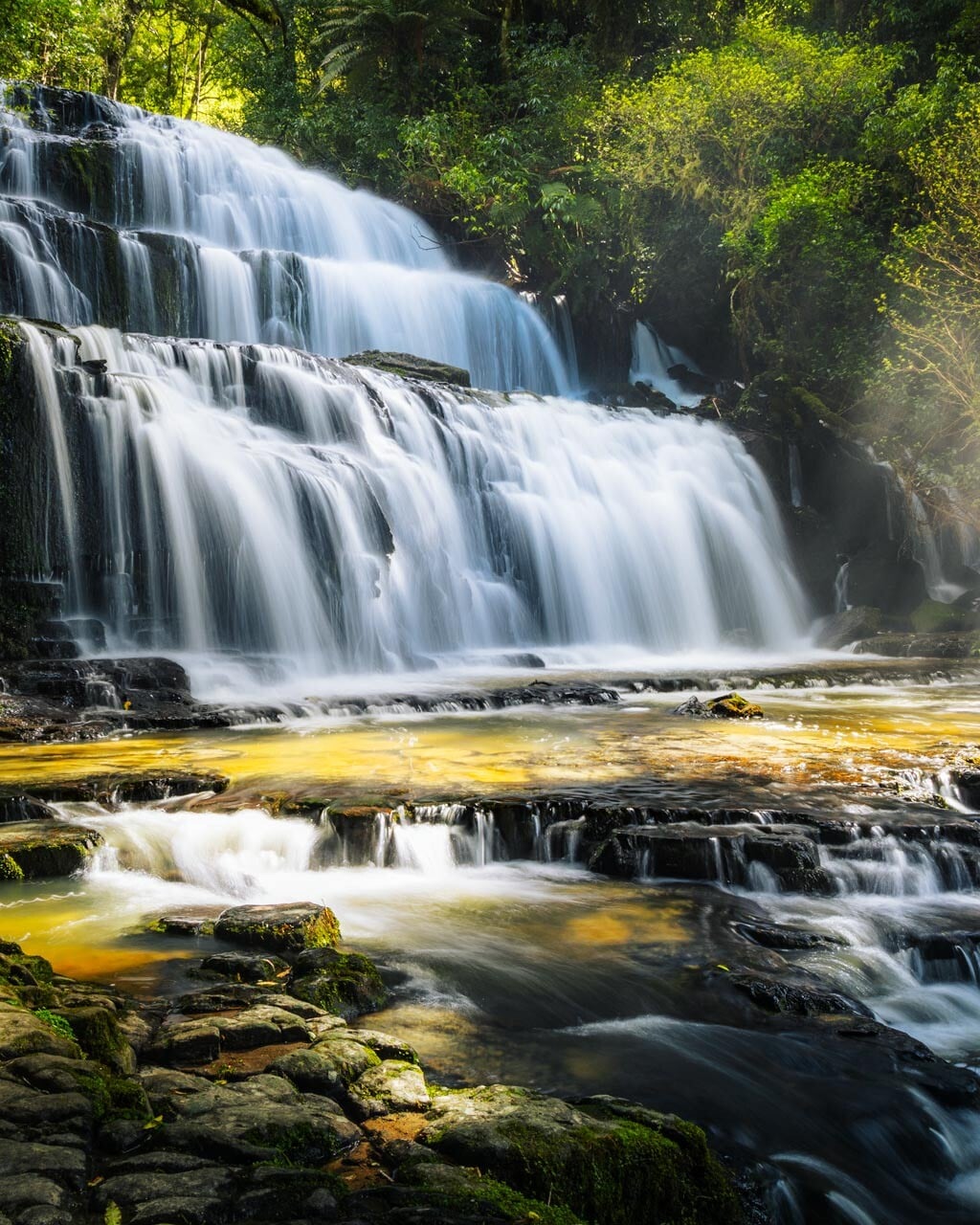 Purakaunui Falls glowing with light filtering through the trees
