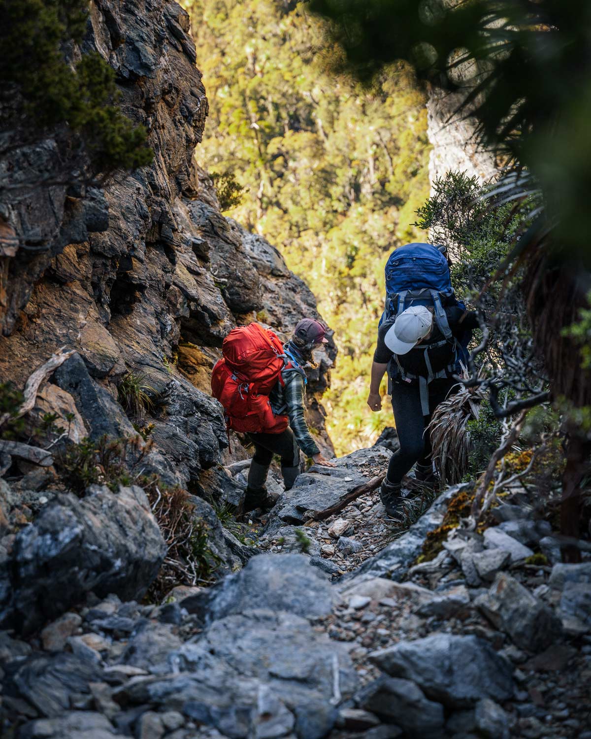 HIking down rocky trail in Tasmania