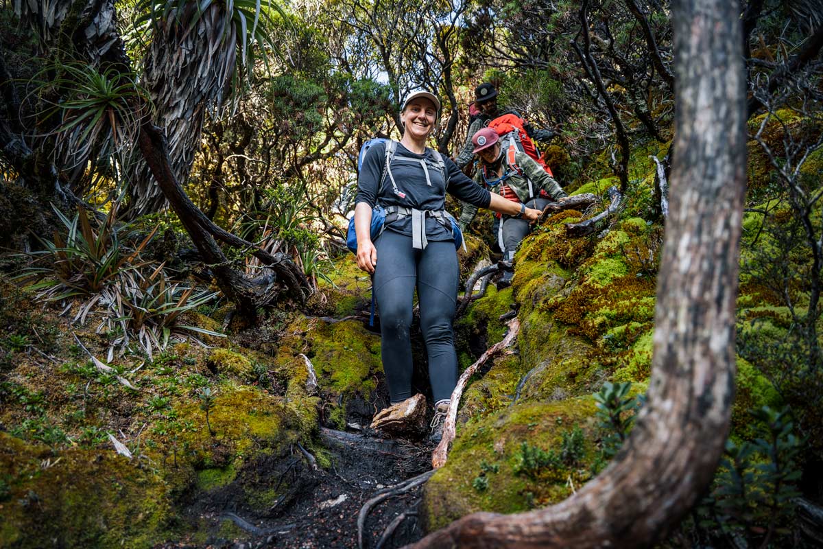 Hiking through thick forest in Tasmania